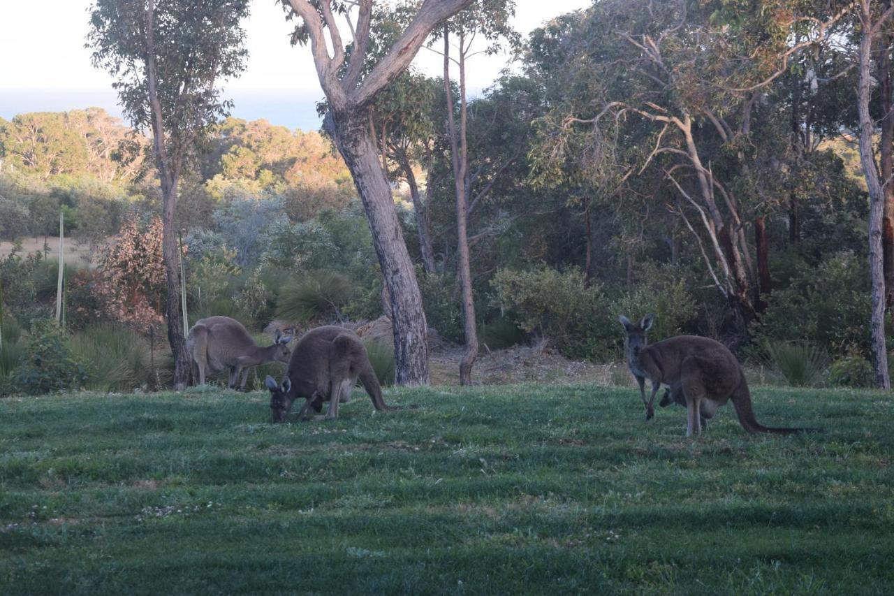 Bed and Breakfast Eagle Bay House Dunsborough Exteriér fotografie